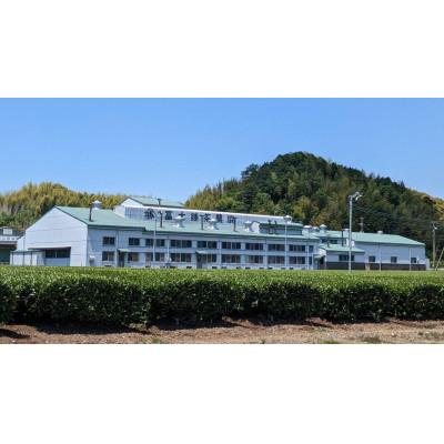 ふるさと納税 牧之原市 一年中おすすめ　水出し煎茶ティーバッグ |  | 02
