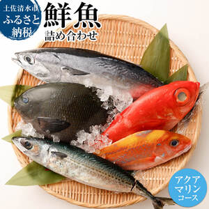 おまかせ！季節の鮮魚 お楽しみセット（アクアマリンコース）天然魚 食べ比べ 魚介類 海鮮料理 お楽しみ 詰め合わせ 鮮魚 魚 刺し身 煮付け 20000円 2万円  土佐清水市 高知【R01094】