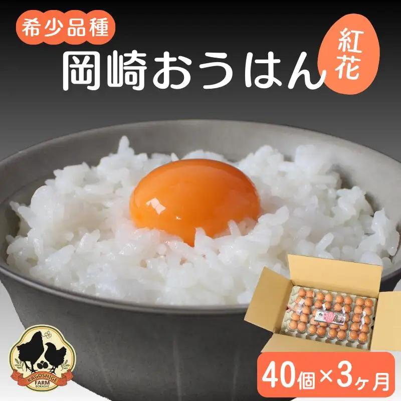 【3カ月定期便】希少品種　岡崎おうはん 紅花の卵 40個×3回【冷蔵配送】 / 田辺市 卵 たまご 有精卵 純国産鶏 鶏卵 平飼い お取り寄せ 卵かけごはん 和歌山県 【kag011-tk】