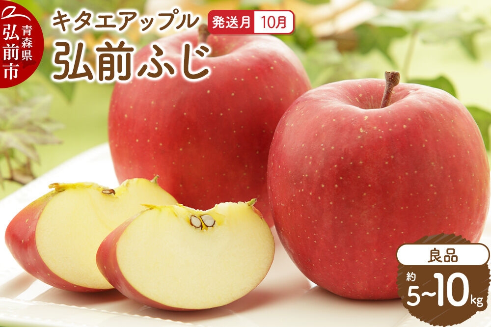 
                  りんご【26年10月発送】弘前ふじ【良品】【選べる約 5kg／10kg】キタエアップル 青森県 弘前市 [先行予約 弘前ふじ りんご 贈り物 アップル おいしい 果実 果物 赤色 美味 林檎]
                