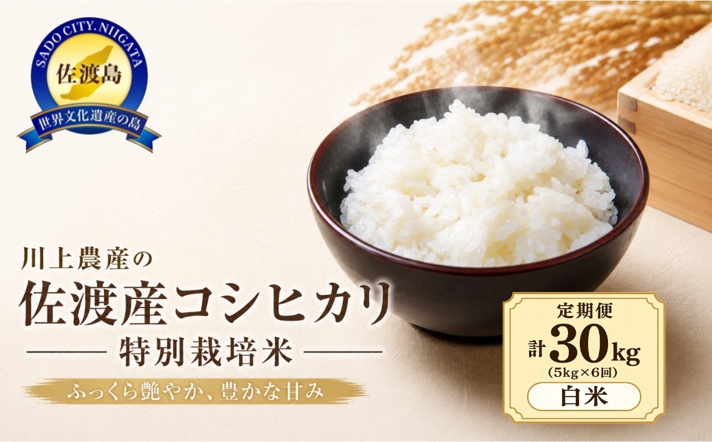 
                  【6か月定期便 コシヒカリ】令和8年産 佐渡産コシヒカリ 合計30kg（5kg×全6回）川上農産 | 新潟県産コシヒカリ 新潟産コシヒカリ 新潟コシヒカリ 佐渡島産コシヒカリ 新潟県産こしひかり 佐渡産こしひかり お米 米 こしひかり 白米 精米 ブランド米 おこめ コメ 5キロ 定期便 にいがた さど 新潟県 佐渡市
                