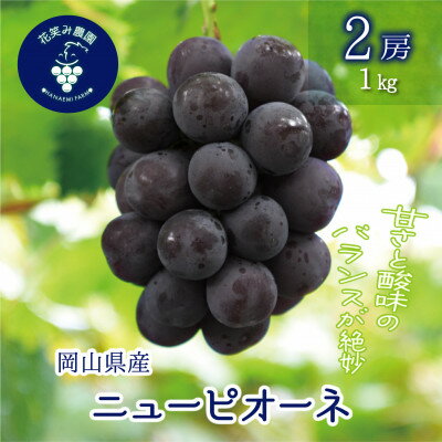 【ふるさと納税】岡山　花笑み農園の『ニューピオーネ』1kg (2房) P-1【配送不可地域：離島】【1650729】