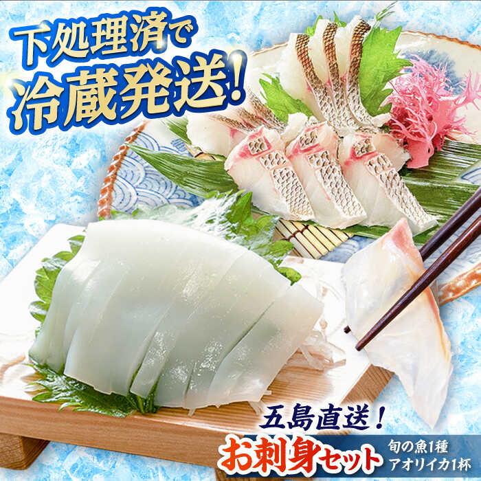 【ふるさと納税】金澤仕立て 鮮魚ボックス（旬の魚1種・アオリイカ）五島市/金沢鮮魚 [PEP001]