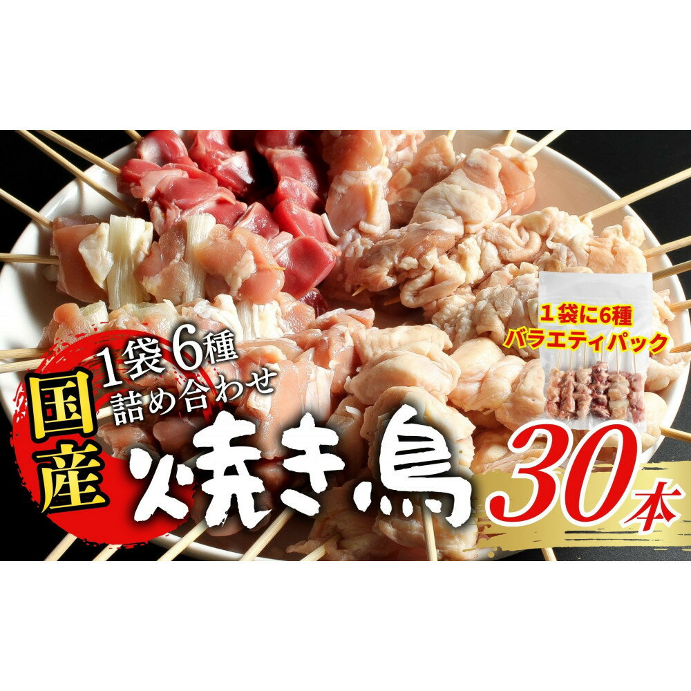 【ふるさと納税】【職人手刺し】国産焼き鳥 6種30本 【バラエティパック】小分けパック（生串・冷凍）