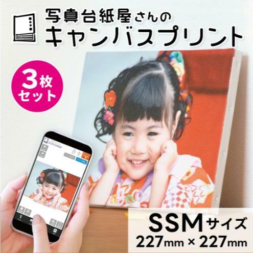 キャンバスプリント SSMサイズ 3枚セット フォト 写真 パネル オーダー 印刷 アート ファブリックパネル インテリア