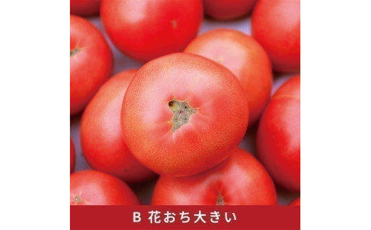 訳あり 完熟 大玉トマト 3.6キロ