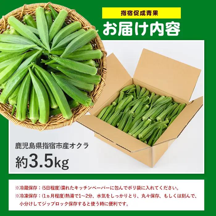 2026年 発送 夏の元気の源! 朝採れ新鮮いぶすきオクラ約3.5kg 指宿促成青果 IB092-002 オクラ オクラ