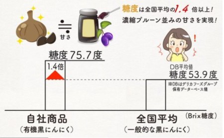 冷凍 餃子 6パック 6人前 葉 ニンニク 四万十ポーク 無添加 有機野菜 グルテンフリー餃子 高知県 須崎市 ギフトセット