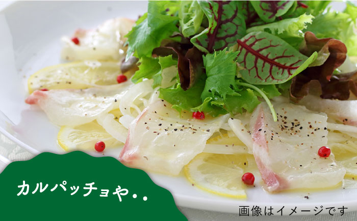 糸島ねぎ油 6本 糸島市 / Carna 油 餃子 [ALA052]