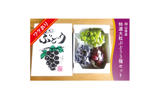 1064.＜先行受付＞訳あり大粒ぶどう3種セット(10月中旬～11月発送予定)【1489000】