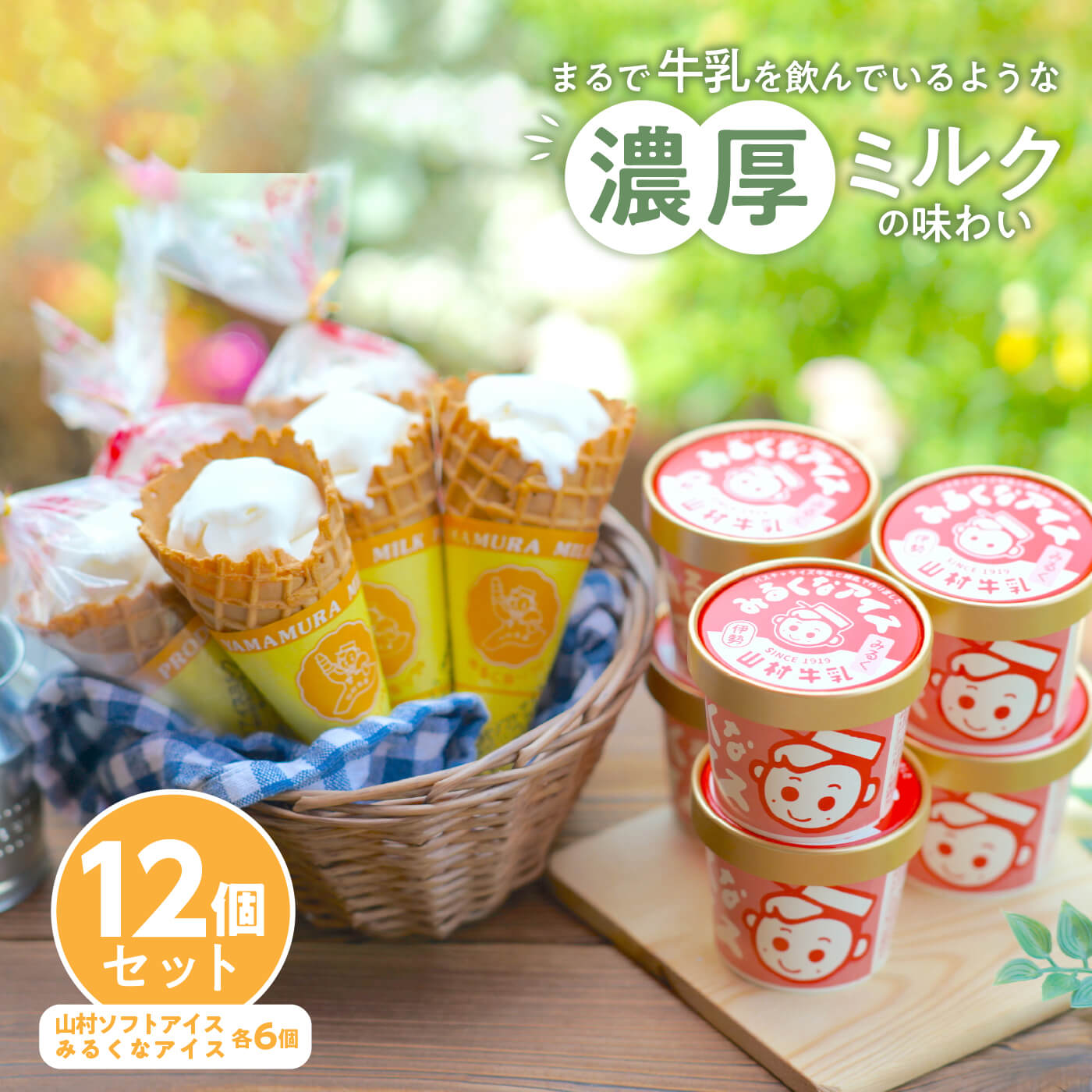 【ふるさと納税】023 山村ミルクアイスセット