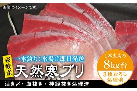 壱岐島産天然寒ブリ（8キロ台・3枚おろし） 《壱岐市》【壱岐島　玄海屋】[JBS013]  魚 刺身 しゃぶしゃぶ 96000 96000円