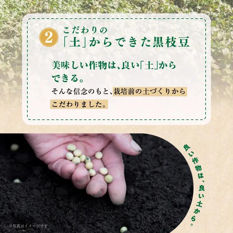 【ふるなびWEEK対象】朝採り 黒枝豆 1.8kg 畑から直送 FN-Limited-WE