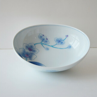 有田焼 華山窯（胡蝶蘭中鉢・いっぷく碗４個セット） 東洋セラミックス A25-297_イメージ4