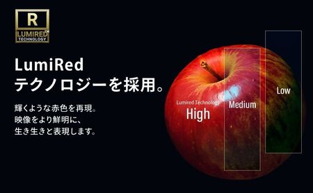 小型プロジェクター FUNLOGY Projector | 500g軽量 手のひらサイズ 最大180インチ大画面 天井投影対応 スピーカー内蔵 ホームシアター iPhone スマホ PC Switch