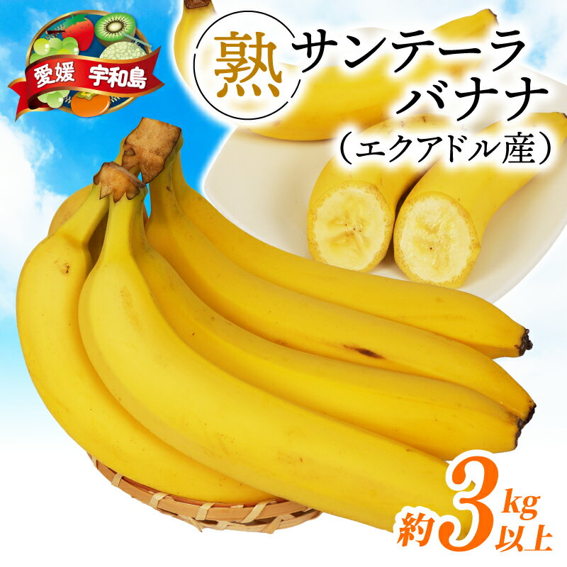 【ふるさと納税】 バナナ 熟サンテーラバナナ 計 約3kg ( 600g以上 × 5袋 ) 徳田青果 果物 くだもの フルーツ ばなな トロピカルフルーツ 南国フルーツ 熟成バナナ 甘い コク 香り 希少 朝食 おやつ スムージー 簡単 お取り寄せ 愛媛 宇和島 F010-194001