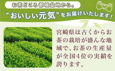 【元気モリモリ福袋】おうち時間リフレッシュ!都城産特上煎茶(新茶)4本セット_AA-4802_(都城市) お茶の産地 都城盆地 都城産新茶 最高級品 ホットでも冷茶でも 日本茶