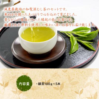 ふるさと納税 南九州市 お茶で健康一番!知覧厳選緑茶5本セット |  | 01