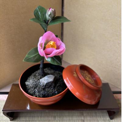 ふるさと納税 掛川市 【冬 わびすけつばき】四季を彩る創作草もの盆栽(工芸品)〜工房椿