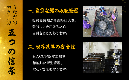 国産若うなぎ 3尾 定期便12回 うなぎ