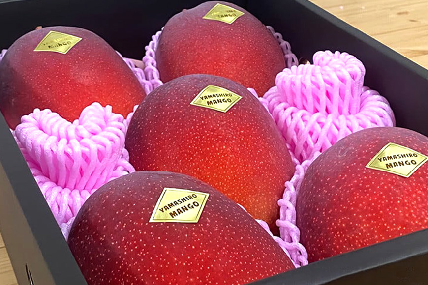 【2026年発送】沖縄県産マンゴー『極み。』2.5kg 山城マンゴー屋 102-3