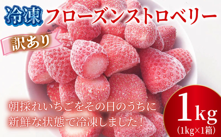 訳あり 冷凍 いちご 1kg 苺 フローズン イチゴ ストロベリー 苺 苺 苺 苺
