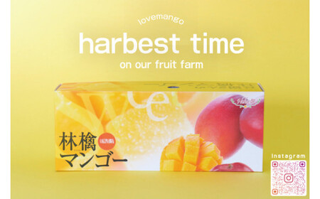 【2026年6月下旬より順次発送】マンゴーの里！豊見城市産♪あま?い♪アップルマンゴー 約1kg(2～3玉)(家庭用) (BV010-1)