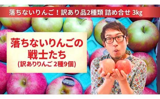 【訳あり品】 落ちないりんごの戦士たち 3kg りんご