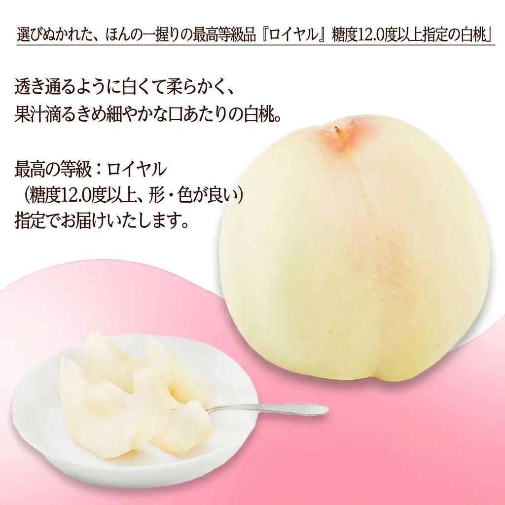 白桃 ロイヤル 化粧箱入り 岡山県産 白桃【6玉 1玉300g以上】【先行予約】
