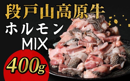 段戸山高原牛 ホルモンMIX 400g（100g×4パック）牛肉 小分け もつ鍋 焼肉用 ホルモン ホルモン焼き 焼肉 BBQ キャンプ 肉 鉄板焼き ブランド牛 国産 センマイ モウチョウ 小腸 直腸 ギアラ ハツ 数量限定 -189