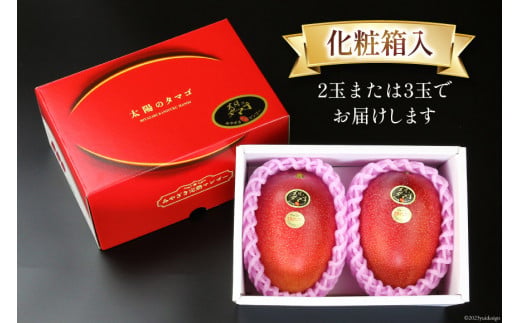 【2026年夏発送】 宮崎 完熟 マンゴー 太陽のタマゴ 秀品 900g以上 [宮崎県農業協同組合日向地区本部（販売課） 宮崎県 日向市 452060664] 果物 フルーツ 完熟マンゴー 甘い 日向
