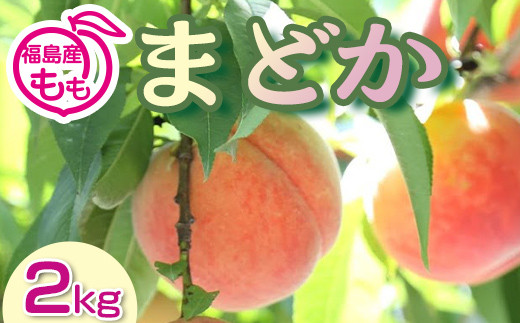 
            阿部農縁　福島の桃　まどか2kg(6～9玉)　ギフト・贈答用　ふくしまの完熟もも F7X-0044
          