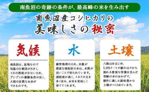 【令和7年産新米】【定期便】新潟県 南魚沼産 コシヒカリ お米 5kg ×計4回 精米済み 毎月発送（お米の美味しい炊き方ガイド付き）【2025年10月中旬より順次発送予定】