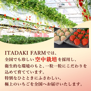 【訳あり】冷凍いちご 白いちご 1kg入り 冷凍 フローズン 果物 デザート イチゴ 苺