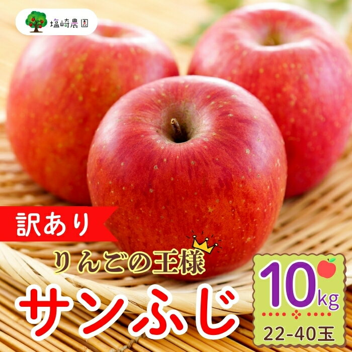 【ふるさと納税】【先行予約】【訳あり】規格外 サンふじ 約10kg (22〜40玉）（2025年産） (7-A39-3)＜出荷時期：2025年12月中旬ごろ～＞【 りんご フルーツ 長野県 飯山市 甘味 酸味 リンゴ 林檎 くだもの 果物 ギフト プレゼント お歳暮 御歳暮 わけあり 訳あり】