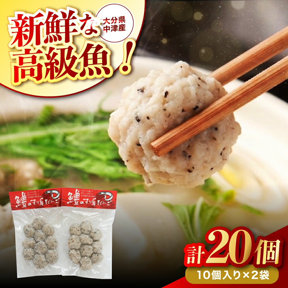 【ふるさと納税】【数量限定】鱧（はも）のすり身団子 10個入×2袋 | 魚 さかな サカナ 鱧 はも すり身 すりみ 団子 だんご ダンゴ つみれ ツミレ 小分け 魚のつみれ ハモ すり身団子 お鍋 水炊き おでん 冷凍食品 練り物 冷凍 直送 大分県産 九州産 大分県 中津市