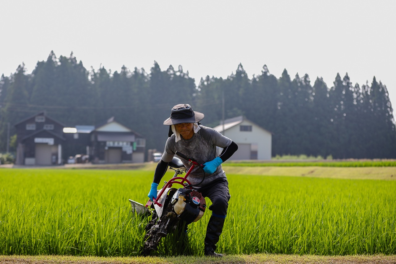 大満足のたっぷりサイズ。まとめ買いにも、大家族にもおすすめ。