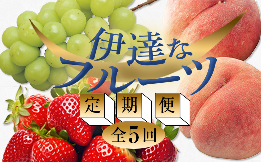 ＜2024年春から開始の定期便＞伊達なフルーツ定期便 （いちご・もも3種・ぶどう）果物 フルーツ 苺 イチゴ 桃 モモ 葡萄 ブドウ 福島県 伊達市  もも デザート 果物 くだもの 果実 食品 F20C-485
