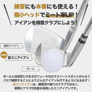 匠ミニアイアン「極小ミニヘッド」東邦ゴルフ　035BF01N.