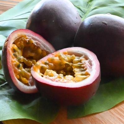 ふるさと納税 今帰仁村 【2026年6月上旬から順次発送】初夏に味わう ファーム寿のパッションフルーツ2kg(20玉前後)