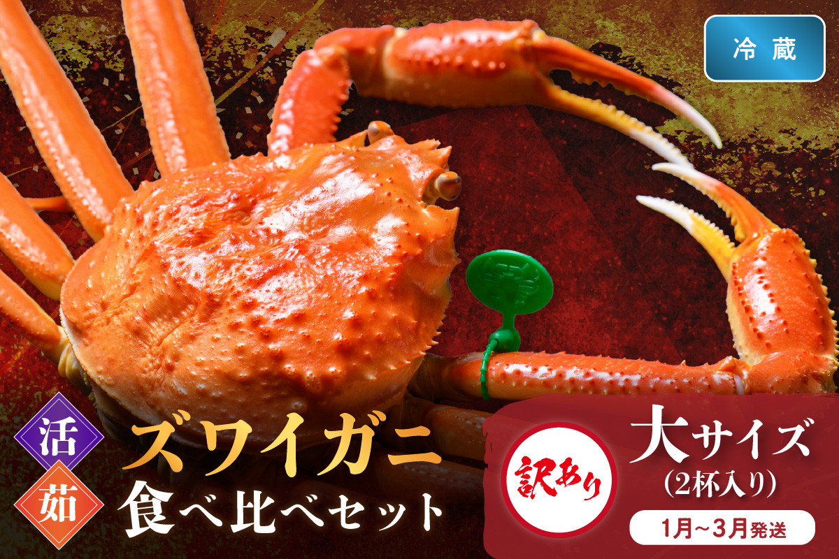 
                  訳あり【蟹の匠 魚政】京丹後産 ズワイガニ 食べ比べセット〈活×茹〉大サイズ2杯入り（1月～3月発送）　UO01418
                