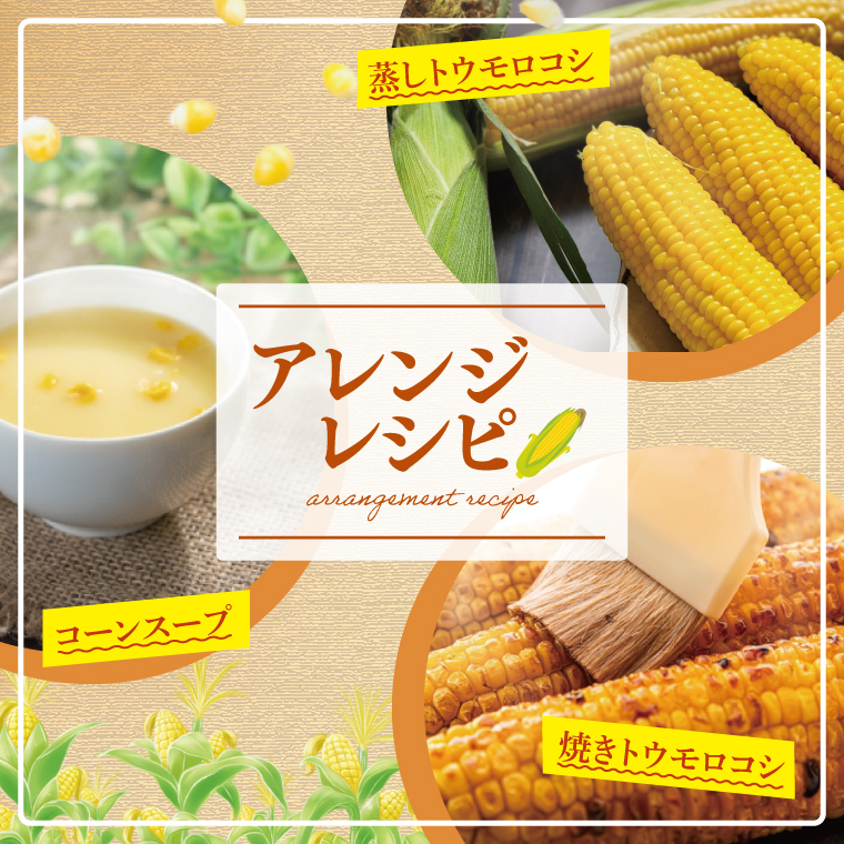 【先行予約 6月中旬から順次配送】とうもろこし　9本～13本入り（約5kg）【野菜 甘い トウモロコシ 玉蜀黍 茨城県 阿見町産】(76-06)