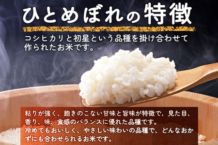 《6ヶ月定期便》令和5年産【玄米】秋田県産ひとめぼれ 10kg（5kg×2袋）