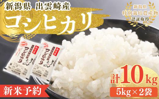 【新米】お米 コシヒカリ 令和8年産新米 特別栽培米 「天領の里」10㎏ 新潟県産 出雲崎町産  白米 精米 こしひかり