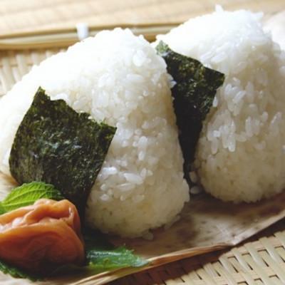 ふるさと納税 広川町 【毎月定期便】福岡有明のり　訳あり!　焼き海苔　20g×2袋(広川町)全6回 |  | 02