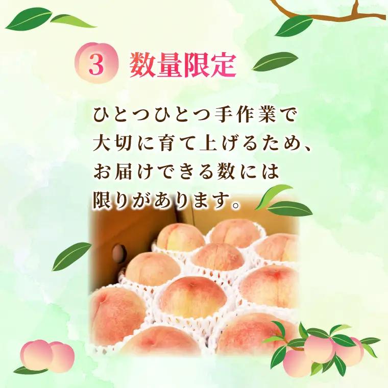 【先行予約・数量限定】大子町産「桃」約3kg 品種おまかせ（あかつき・まどか・美郷 等）｜茨城県 大子町 令和8年産 もも モモ フルーツ 果物 おまかせ 詰め合わせ 産地直送 旬 人気 厳選 奥久慈