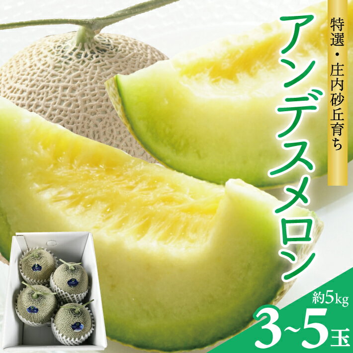 【ふるさと納税】庄内砂丘 特選アンデスメロン つる付 3～5玉 約5kg 7月上旬〜7月下旬頃お届け ※着日指定不可 メロン 青肉メロン 庄内砂丘メロン ツル付 緑 夏 果物 フルーツ くだもの 旬 東北 山形県 酒田市 庄内