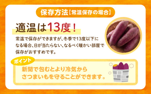 【定期便2ヶ月】さつまいも 金時 1.8kg・H126