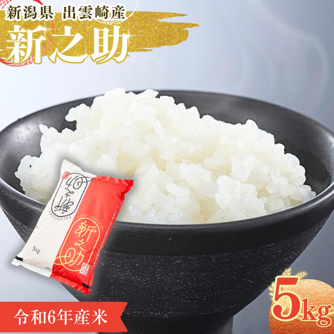 【ふるさと納税】【1ヶ月以内発送・数量限定】令和6年産 「新之助」 5kg 新潟県産 出雲崎町産 白米 精米 お米
