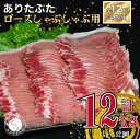 【ふるさと納税】【12回定期便 総計12kg】ありたぶた ロース しゃぶしゃぶ 約1kg (200g×5パック) 12回 定期便 小分け 真空パック 豚肉 120000円 N120-5